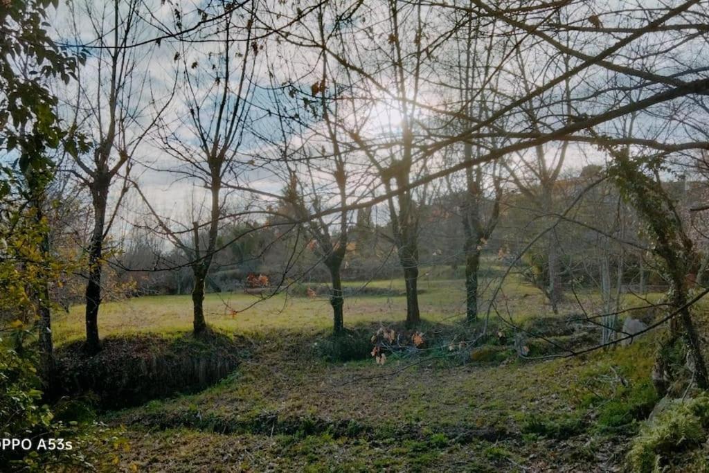 Confort, Fun And Leisure In Douro Rural Space