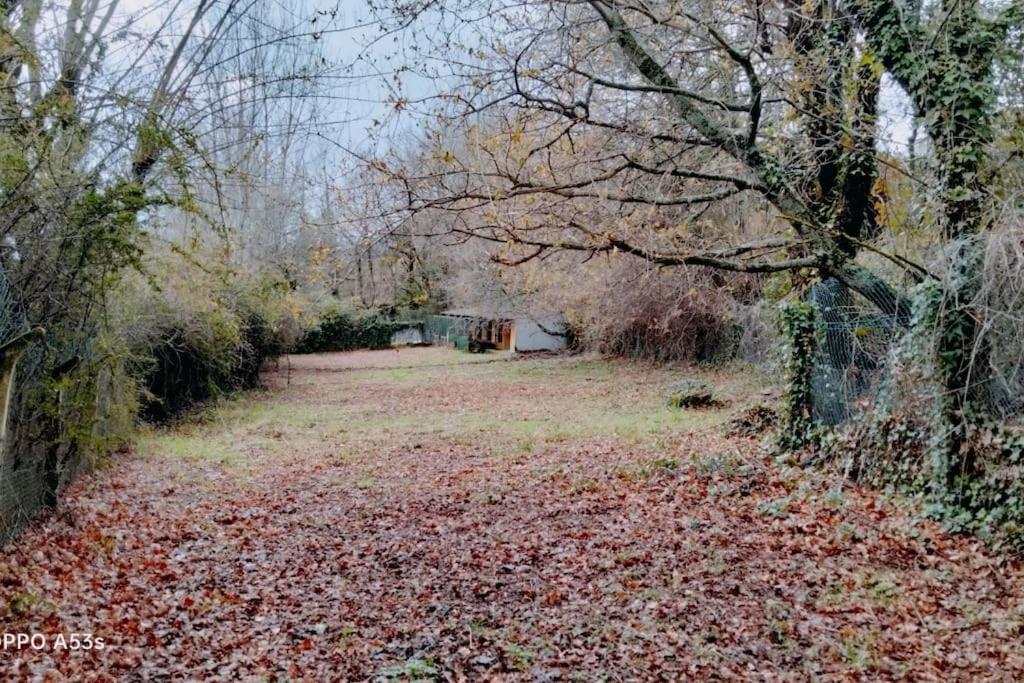 Confort, Fun And Leisure In Douro Rural Space Sande (Porto)