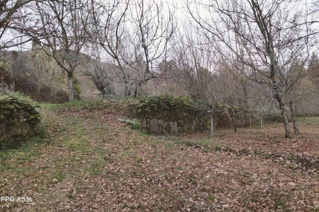 Holiday home Confort, Fun And Leisure In Douro Rural Space Sande (Porto)