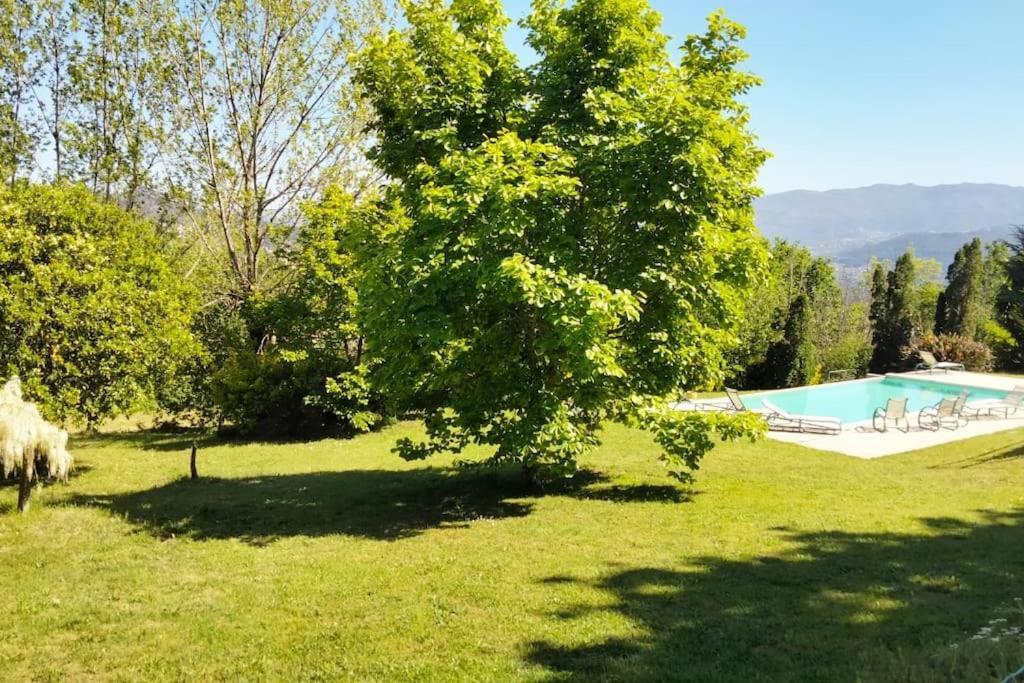 Confort, Fun And Leisure In Douro Rural Space Holiday home *
