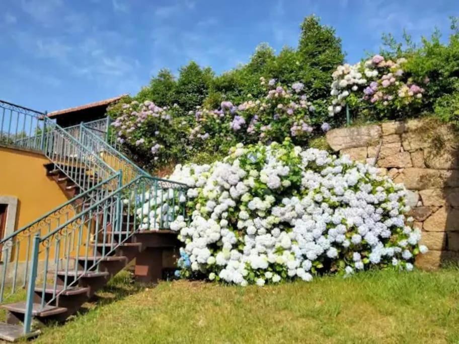 Holiday home Confort, Fun And Leisure In Douro Rural Space