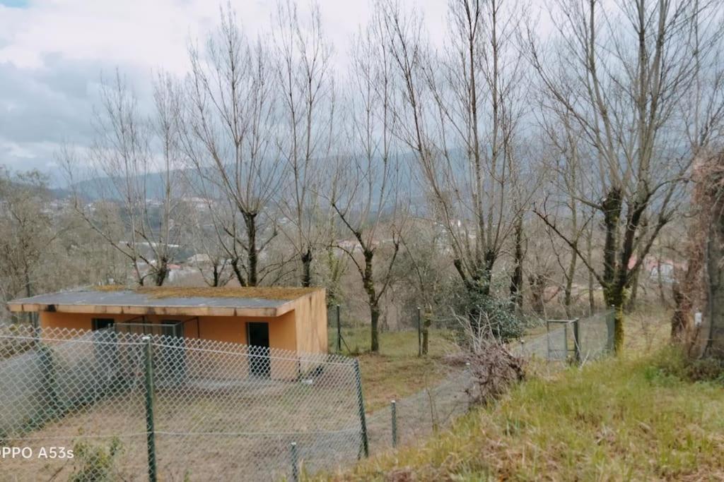 Confort, Fun And Leisure In Douro Rural Space Holiday home Sande (Porto)